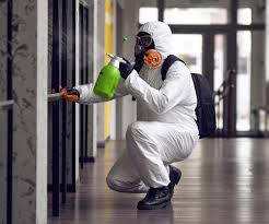 Mold Remediation for Rental Properties in Nashville, IL